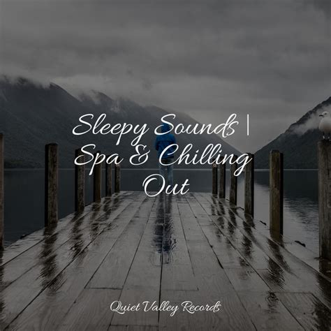 Sleepy Sounds Spa Chilling Out Album By Relaxation Spotify