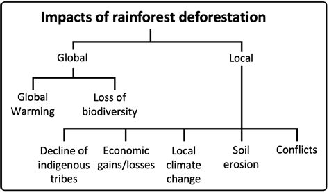 The impacts of rainforest deforestation in Malaysia - Internet Geography