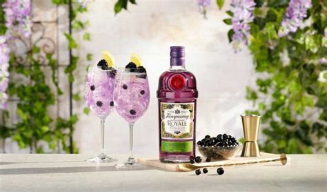 Tanqueray Blackcurrant Royale Mit Johannisbeeren Vanillearomen