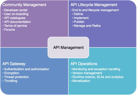 Oracle Api Management Implementation 12c Book Overview