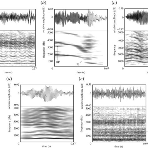 Waveforms And Spectrograms Of The Giant Panda Vocalizations Produced Download Scientific