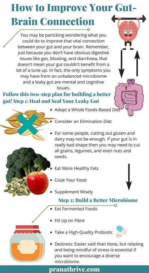 How To Improve Your Gut Brain Connection Gut Health