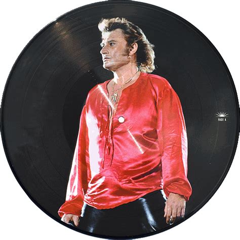 Johnny Hallyday LP Picture Disc Parc Des Princes 1993 25