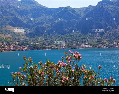 Town Of Risan The Bay Of Kotor Montenegro Stock Photo Alamy