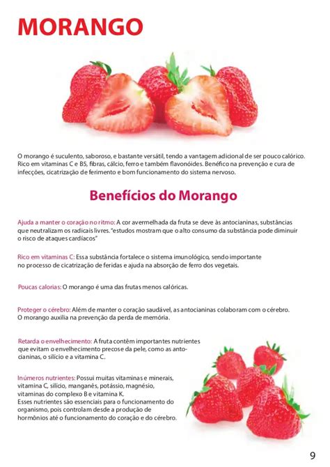 Curiosidades Sobre O Morango E Fatos Interessantes Mundo Ecologia