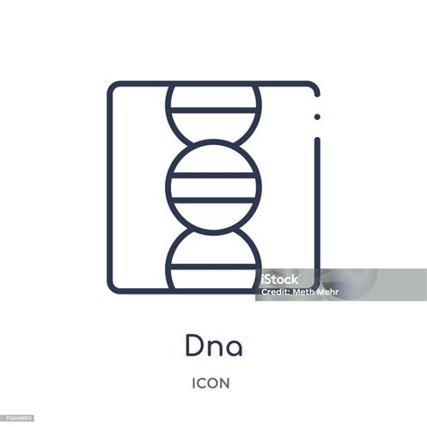 Ikon Dna Linear Dari Koleksi Garis Besar Pendidikan Vektor Dna Garis