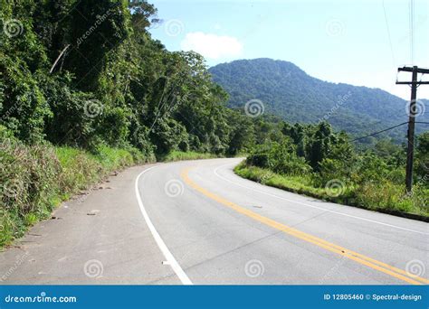 Road In Brazil Stock Photo Image Of Atlantic Plant 12805460