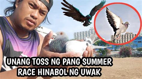 UNANG TOSS SA KALAPATI KO HINABOL NG UWAK YouTube