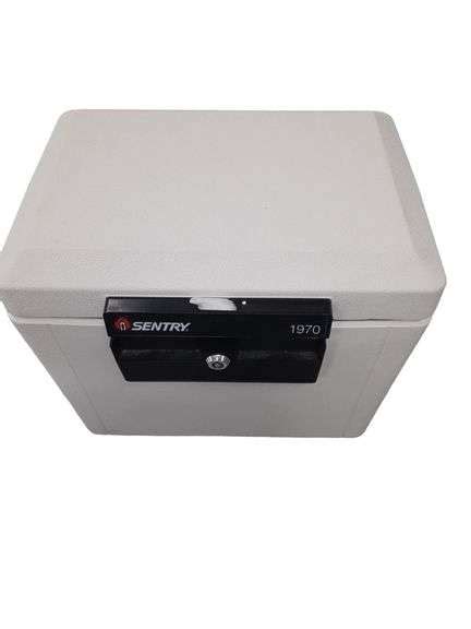 sentry fireproof safe resettled life