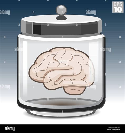 Brain In Jar Hi Res Stock Photography And Images Alamy