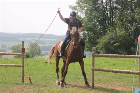 Centre équestre Jura Cours d équitation Balades Randonnées Location