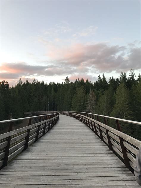 Trestle bridge | Trestle bridge, In this moment, Trestles