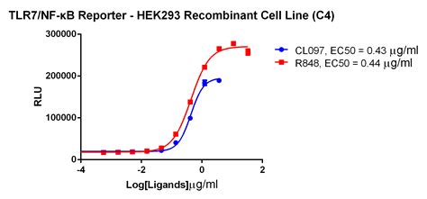 TLR7 NFkB Luc HEK293 南京科佰生物科技有限公司