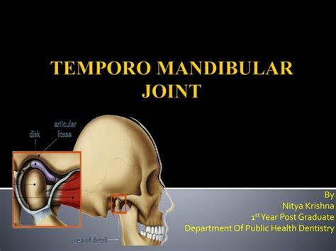 Temporo Mandibular Joint Ppt