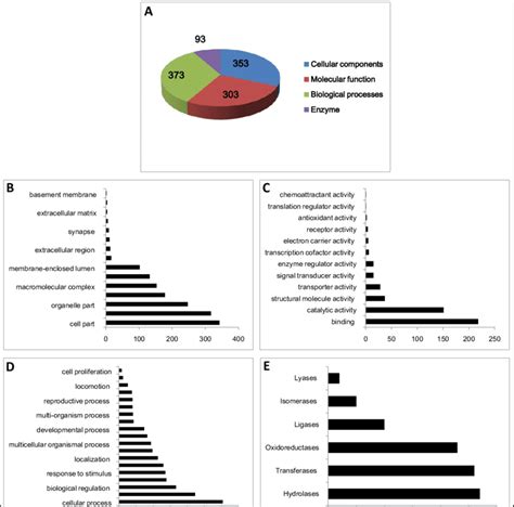 Identification Of Differentially Expressed Proteins Using Go Analysis Download Scientific