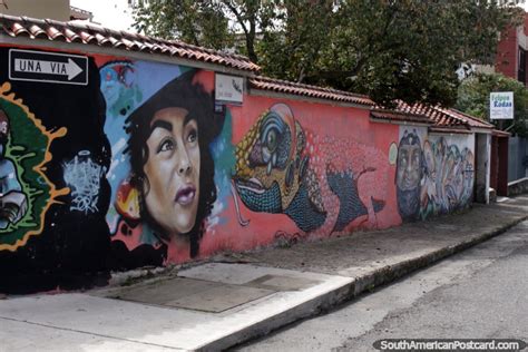 Woman S Face And An Iguana Mural In A Cuenca Street Photo From