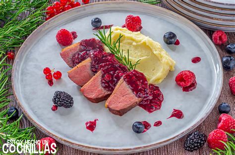 Receta De Magret De Pato Con Salsa De Frutos Rojos