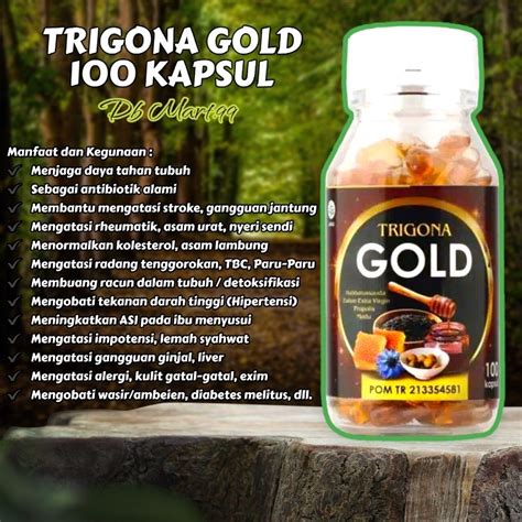 Jual TRIGONA GOLD Habbatussauda Extra Propolis Plus Zaitun Madu Isi