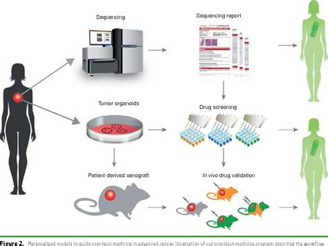 Figure 2 From Personalized In Vitro And In Vivo Cancer Models To Guide Precision Medicine