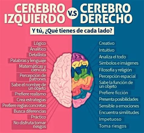 Cerebro Neurociencias Psicología HemisferioIzquierdo