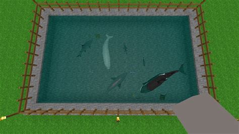 Survivalcraft All Aquatic Animals by ReynaldoOktaviano on DeviantArt