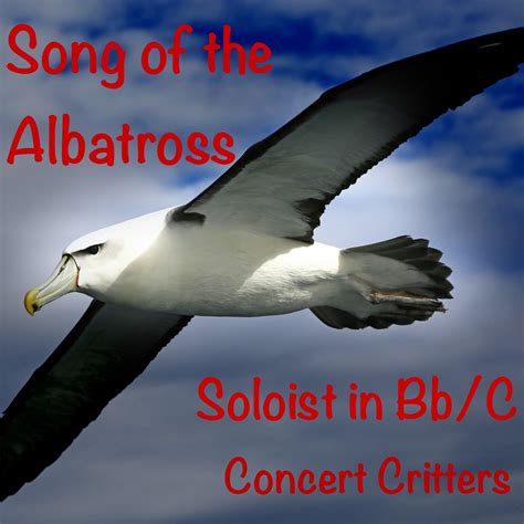 Song Of The Albatross Solo For Bbc Instruments — Dale Vail