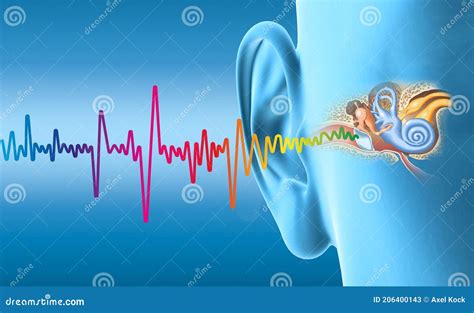 Human Ear Anatomy With Colorful Sound Wave Medically 3d Illustration Stock Illustration