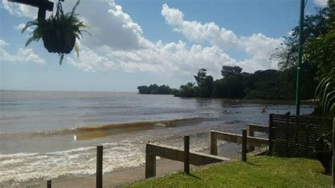 Veja Quais Praias Est O Reprovadas Para Banho Em Bel M