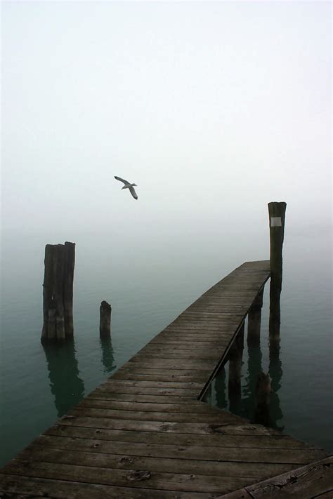 Foggy Dock 12 Photograph By Mary Bedy Fine Art America