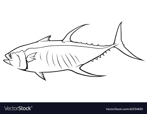 Drawing Of Tuna Fish Royalty Free Vector Image