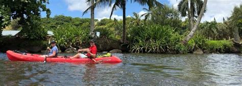 Wailua River and Waterfall Kayaking - Adventure Tours Hawaii