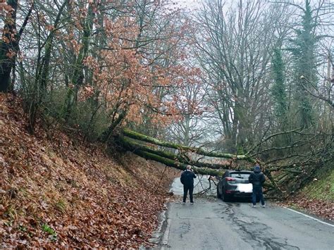 Albero Cade Sulla Strada Tra Novi E Tassarolo