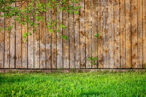 Zo Heeft U Meer Privacy In De Tuin De Hoog Hoveniers