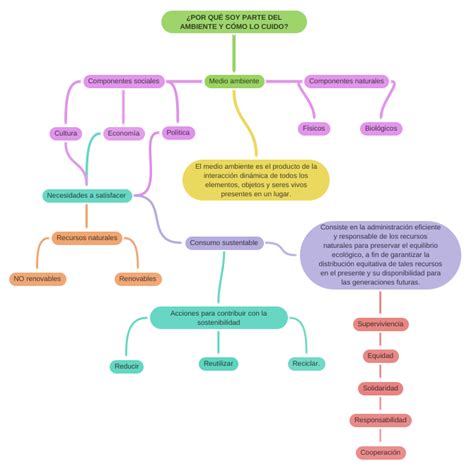 ¿por QuÉ Soy Parte Del Ambiente Y CÓmo Lo Cuido Coggle Diagram