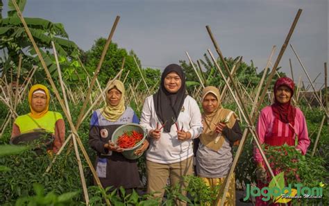 Tips Sukses Menjadi Petani Milenial Jagad Tani Petaninya Milenial