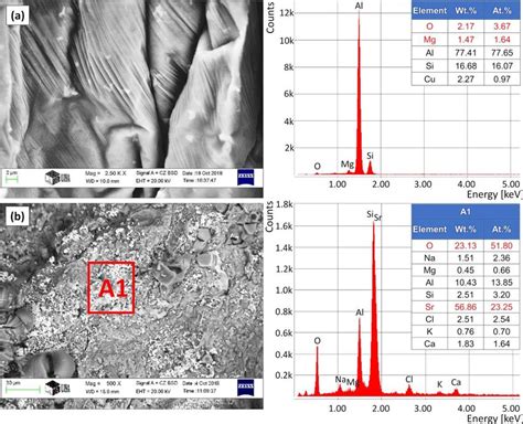 Sem Image And Results Of Eds Analysis Of Inclusion Found On The