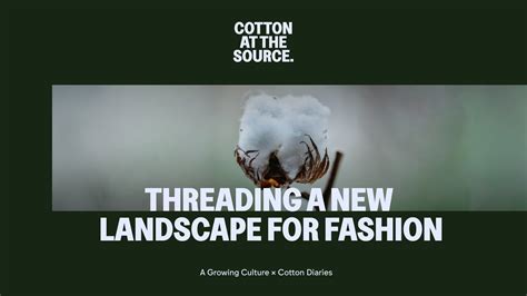 MEDIA RESOURCES — COTTON DIARIES