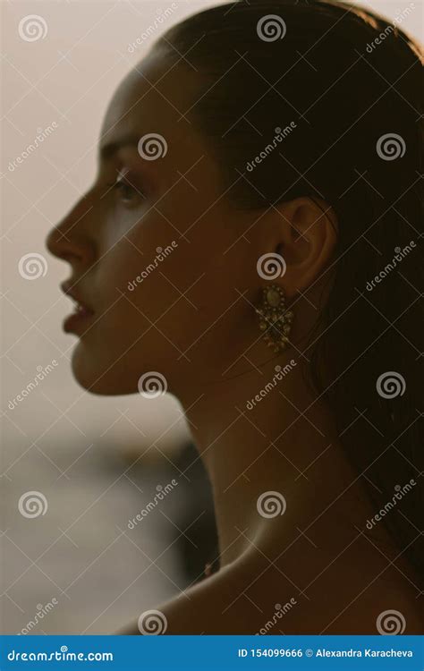 Jong Mooi Brunette Op Het Meer Met Nat Haar En Lichte Make Up Stock