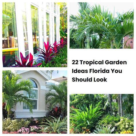 22 Tropical Garden Ideas Florida You Should Look | SharonSable