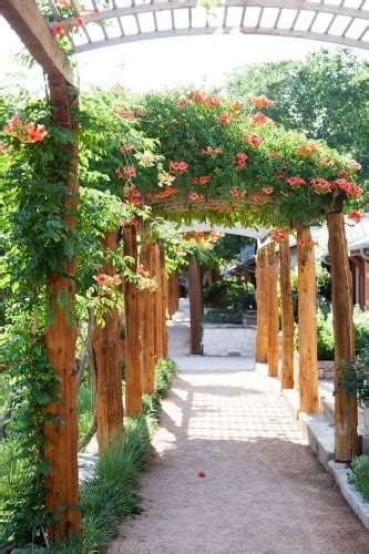 Pergola Acoperita De Flori De Trambita Portocalie