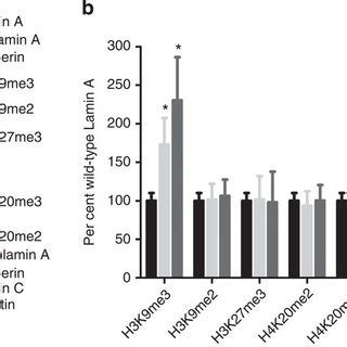 Heterochromatic Histone Modifications In Hek Cells With Different