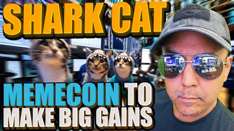 Shark Cat Coin Solana’s Hottest Meme Coin Revealed Youtube