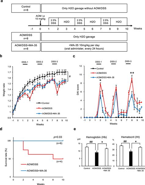 The Effects Of Ma On The Aom Dss Mouse Model A Experimental