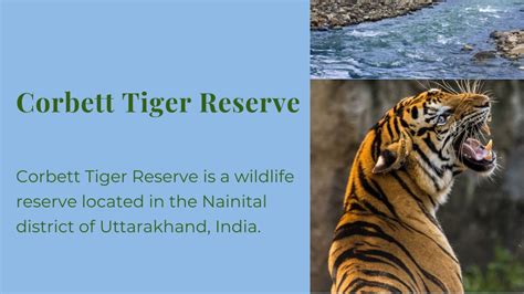 PPT - Corbett Tiger Reserve PowerPoint Presentation, free download - ID ...