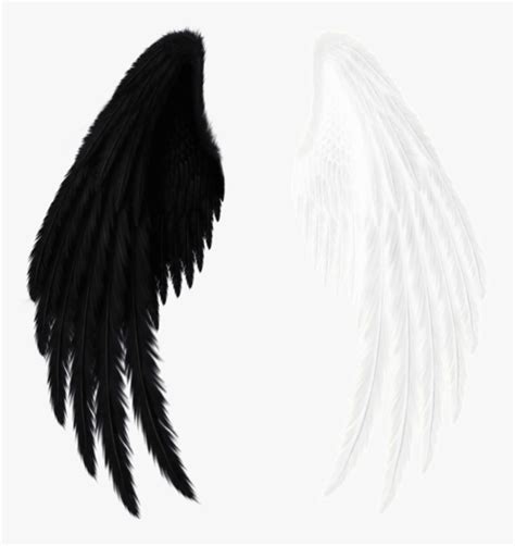 Wings Black White Black And White Red Angel Wings Png