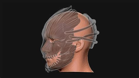 The Trapper Mask from Dead By Daylight - 3D Model by blackstar90