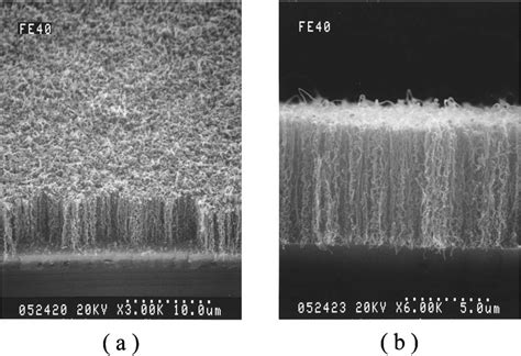 A Sem Micrograph Of The Part Of Cm By Cm Carbon Nanotubes Block