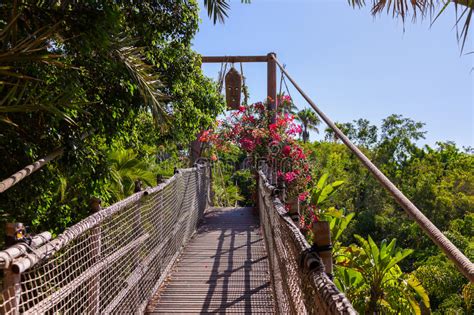 Footpath In Jungle Garden With No People Stock Photo Image Of Green