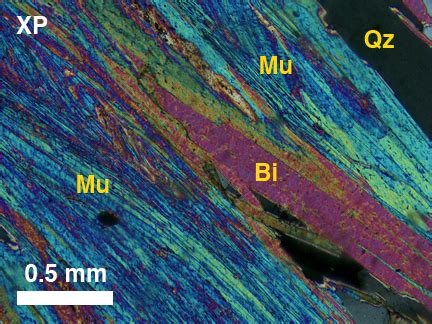 Biotite Microscope