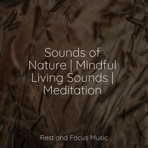 Sounds Of Nature Mindful Living Sounds Meditation Album By The